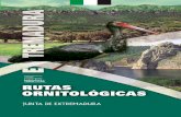Colirrojo tizón - birdinginextremadura.com · La reciente declaración de Monfragüe como Parque Nacional, con la consiguiente publicidad y dotación económica que ello implica
