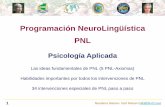 Programación NeuroLingüística PNL - nlp-institutes.net · En la fase de PNL después de 1978 personas de PNL exploraron y modelaron a personas exitosas (de comunicación) en todos