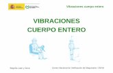 VIBRACIONES CUERPO ENTERO - insst.es · Centro Nacional de Verificación de Maquinaria- CNVM Vibraciones cuerpo entero Begoña Juan y Seva UNE-ISO 2631-1 Vibraciones y choques mecánicos.