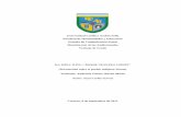 Universidad Católica Andrés bello - biblioteca2.ucab.edu.vebiblioteca2.ucab.edu.ve/anexos/biblioteca/marc/texto/AAS2516.pdf · ancianas acerca de las historias, límites, recursos