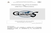 PROGRAMA DE TITULACIONES DE JINETES Y AMAZONAS · Para las pruebas del GALOPE 1 al GALOPE 4 Común, la preocupación del técnico será más una preocupación por destacar el aspecto