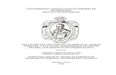 UNIVERSIDAD CATÓLICA SANTO TORIBIO DE MOGROVEJO …tesis.usat.edu.pe/bitstream/20.500.12423/1453/1/TM_MedinaPerezEstanis... · herramienta de desarme y de auto-distanciamiento de