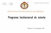 Programa Institucional de tutoría - uv.mx · •Pide que llenen la Ficha de identificación del tutorado •Aplica algún instrumento que le permita obtener información para elaborar