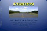 VALORACIÓN AMBIENTAL - documents.worldbank.orgdocuments.worldbank.org/curated/en/468331468053088950/pdf/E28750V160... · Los proyectos de mantenimiento de carreteras están incluidos