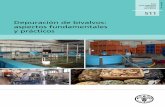 Depuración de bivalvos: aspectos fundamentales y prácticos · La producción y consumo mundial de moluscos bivalvos ha aumentado de manera signiﬁcativa durante los últimos años,