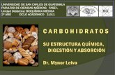 UNIVERSIDAD DE SAN CARLOS DE GUATEMALA FACULTAD DE ... · digestivas para la homogeneización , lubricación del bolo alimenticio y la digestión inicial de los carbohidratos por