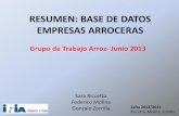RESUMEN: BASE DE DATOS EMPRESAS ARROCERAS 12 13.pdfel sector arrocero en la zafra 2012/13. Esta información fue generada en Esta información fue generada en base a datos proporcionados