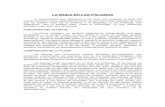 LA MUDA EN LAS PALOMAS - clinicaveterinariaplumas.comclinicaveterinariaplumas.com/wp-content/uploads/2018/05/la-muda-en-las... · Las primeras seis remeras primarias caen a intervalos
