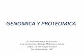 GENOMICA Y PROTEOMICA - s4507431beaf003cb.jimcontent.com · GENOMICA Y PROTEOMICA Dr. José A Gutiérrez Bustamante Area de Genética y Biología Molecular y Celular Depto. de Morfología