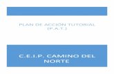 C.E.I.P. CAMINO DEL NORTEceipcaminodelnorte.centros.educa.jcyl.es/.../PLAN_DE_ACCION_TUTORIAL.pdf · capacidades que potencian la autonomía y al logro de competencias básicas para