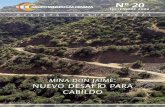 MINA DON JAIME: NUEVO DESAFÍO PARA CABILDO · licitará próximamente la construcción de las galerías de desarrollo del proyecto Mina Don Jaime, al haberse terminado los sondajes