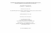 ASAMBLEA LEGISLATIVA DE LA REPUBLICA DE COSTA RICA ...proyectos.conare.ac.cr/asamblea/18108 STI.pdf · contaminación en virtud de que las actividades desarrolladas en las diferentes