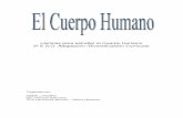 el cuerpo humano 2007 - yoquieroaprobar.esyoquieroaprobar.es/_pdf/22126.pdf · 1 EL CUERPO HUMANO: Anatomía básica 1.- El esqueleto 1.1. Disposición general del esqueleto 1.2.