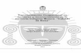 Transformación Ocupacional en hombres y reconocimiento de ...bdigital.unal.edu.co/11547/1/2017976.2013.pdf · hemos incursionado en la investigación con culturas indígenas, puesto