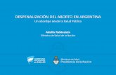 DESPENALIZACIÓN DEL ABORTO EN ARGENTINA debate aborto... · •100.000 cánulas para AMEU, •además de tests de embarazo y hormonas para población trans. Ministerio de Salud de