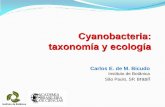 Cyanobacteria: taxonomía y ecología - fcaudec.cla-y... · categorías taxonómicas. Drouet “Experimentos” en laboratorio: inoculó una determinada especie (Anacystis nidulans)