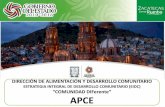 ESTRATEGIA INTEGRAL DE DESARROLLO COMUNITARIO (EIDC ...sitios.dif.gob.mx/.../uploads/2012/10/ReaccionAnteEmergencia_Zacatecas.pdfemergencia (apce). conformacion del sub comitÉ apce