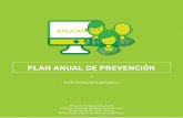 PLAN ANUAL DE PREVENCIÓN - gba.gob.ar · Plan Anual de Prevención 3 Plan Anual de Prevención Cada Declaracion Jurada (DDJJ) contiene la Programación Anual, Cuatrimestral y las
