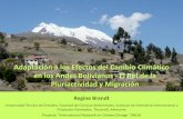 Adaptación a los Efectos del Cambio Climático en los Andes ... · Programa Nacional de Cambio Climáticos, Programa Regional Andino de Adaptación. Centro Agronómico Tropical de
