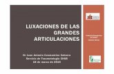 LUXACIONES DE LAS GRANDES ... - areasaludbadajoz.com · DrJuan Antonio Constantino Cabrera Servicio de Traumatología CHUB 18 de marzo de 2015 LUXACIONES DE LAS GRANDES ARTICULACIONES