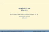 Álgebra Lineal Ma1010 - Profesor Eduardo Uresti Charrecb.mty.itesm.mx/ma1010/materiales/ma1010-08a.pdf · Dependencia e Independencia Lineal en Rn Álgebra Lineal - p. 6/37 entre