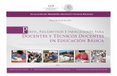 CICLO ESCOLAR 2018-2019 - Secretaría de Educación y ... · p erfil, parÁmetros e indicadores para docentes y tÉcnicos docentes en educaciÓn bÁsica subsecretarÍa de educaciÓn