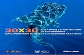 30X30 GUÍA PARA LA PROTECCIÓN DE LOS OCÉANOS CÓMO …greenpeace.co/pdf/2019/30x30_Blueprint_report_Exec_summary_spain.pdf · la vida es glacial y los peces pueden vivir cientos