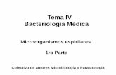 Tema IV Bacteriología Médica - uvsfajardo.sld.cuuvsfajardo.sld.cu/sites/uvsfajardo.sld.cu/files/vii_bacterias... · Enumerar las características generales de Treponema pallidum,