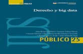 J B Abogado; diploma de Estudios Derecho y big Data ... · Derecho y big data PÚBLICO JUS PÚBLICO 25 Derecho y big data 9 78958 54 5628 0 ISBN 958545628-0 25 Derecho y big Data
