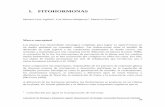 Libro experimentos en fisiología y bioquímica vegetalbdigital.unal.edu.co/8545/9/05_Cap03.pdf · transporte se realiza por los tejidos conductores de la planta (Srivastava 2002),