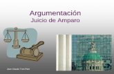 Argumentación Judicial 2 - jeanclaude.mxjeanclaude.mx/wp-content/uploads/2007/06/Argumentacion basica Hechos OJ... · (1) quién, cuándo, cómo, con qué medios, por qué (2) hecho