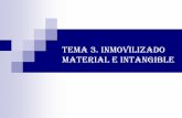 TEMA 3. inmovilizado material e intangible - estudis.uib.es · tiempo los plazos de devolución de las fuentes de financiación con los ingresos obtenidos de los bienes y servicios