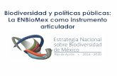 Biodiversidad y políticas públicas: La ENBioMex como ...iki-alliance.mx/wp-content/uploads/Biodiversidad-y-políticas-p... · 5.2 Educación ambiental para la sociedad 5.3 Comunicación