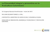 La Fitosanidad integral y preventiva en la fruticultura ... fileLa Fitosanidad integral y preventiva en la fruticultura Colombiana VII Congreso Nacional Hortifrutícola –marzo de