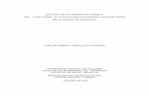 ESTUDIO DE VULNERABILIDAD SISMICA - bdigital.unal.edu.cobdigital.unal.edu.co/1062/1/carlosalbertoceballoscifuentes.2003.pdf.pdf · estudio de vulnerabilidad sismica del liceo isabel