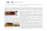 DE HUAURA A SAYAN: TIERRA DE SOL, ALFAJORES Y ANTIGUAS ...v-beta.urp.edu.pe/pdf/id/14620/n/2-de-huacho-a-sayan-tierra-de-sol... · San Andres, cambiando a la del San José en el siglo