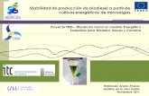 Viabilidad de producción de biodiesel a partir de cultivos ...proyectotres.itccanarias.org/phocadownload/6-utilizacion microalgas_canarias... · Los biocombustibles en los que se