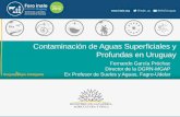 Contaminación de Aguas Superficiales y Profundas en Uruguay · Contaminación de Aguas Superficiales y Profundas en Uruguay Fernando García Préchac Director de la DGRN-MGAP Ex