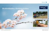 Programa de Actividades Ambientales - diario.madrid.es · TALLERES DE HUERTO ECOLÓGICO Y JARDINERÍA Talleres prácticos de una jornada de duración para profundizar en el diseño