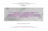 Treball de recerca - ddd.uab.cat · alteracions en la barrera hematoencefàlica (BHE) i formació d’edema vasogènic secundari (Nishizawa., 2001). En les primeres hores després