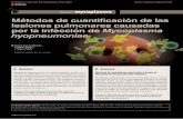 Métodos para la cuantificación de las lesiones causadas ... · Métodos de cuantificación de las lesiones pulmonares causadas . por la infección de . Mycoplasma hyopneumoniae.