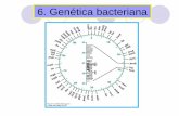 6. Genética bacteriana - jamontaraz.files.wordpress.com · Genética bacteriana. Estructura del ADN. El código genético El código genético es la secuencia de nucleótidos (una