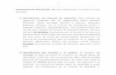 SENTENCIA DE APELACIÓN - poderjudicialmichoacan.gob.mx · recurso de apelación, con fundamento en los artículos 16, 17 y 21 de la Constitución Política de los Estados Unidos