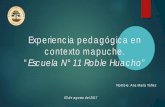 Experiencia pedagógica en contexto mapuche. - fmda.cla_Yañez... · Experiencia pedagógica en contexto mapuche. ... 2013 30,40/0 39, 1% 30,40/0 2014 8,30/0 2015 64, 7% 2016 Nivel