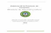 Gobierno de la Provincia de Corrientesmec-webwp.azurewebsites.net/descargas/Documentos/Disenos Curriculares... · Formación en la Práctica Profesional: 19 % Aumento progresivo de