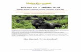 Gorilas en la Niebla 2018 - safarisentanzania.com · Gorilas en la Niebla 2018 Uganda, Ruanda y opcional Zanzibar (Tanzania), 15 ó 20 días. AVENTURA GENUINA EN BUSCA DE LOS ULTIMOS