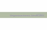 CAPÍTULO I Organizaciones Sindicales - dt.gob.cl · 7 CAPÍTULO 1 / ORGANIZACIONES SINDICALES ANUARIO ESTADÍSTICO 2012 Cuadro 10 Distribución porcentual de población afiliada