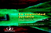 LA SEGURIDAD JURÍDICA. MEXICANA - appweb.cndh.org.mxappweb.cndh.org.mx/biblioteca/archivos/pdfs/Jur_13.pdf · dicial tras la histórica resolución del caso de amparo promovido por