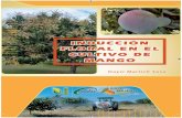 IINDUCCIÓN NDUCCIÓN FFLORAL EN EL LORAL EN EL CCULTIVO …190.167.99.25/digital/idiaf.induccion.floral.mango.dominicana.pdfdel cultivo de mango en nuestro clima está asociado con
