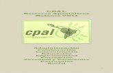 CPAL Sectores Apostólicos Balance 2011 - historico.cpalsj.orghistorico.cpalsj.org/.../uploads/2013/06/CPAL-Balance-de-Sectores-2011.pdf · conocer mejor la realidad económica de
